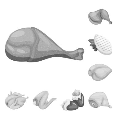 Mutfağı ve kuş logo vektör Illustration. Web için mutfağı ve kümes hayvanları hisse senedi simgesi kümesi.