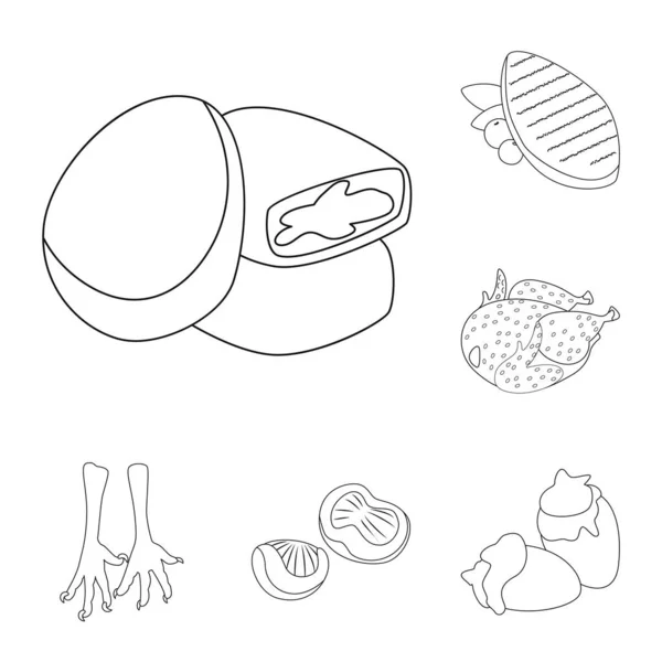 Ilustração vetorial de comida e ícone grelhado. Conjunto de ícone de vetor de comida e pássaro para estoque . —  Vetores de Stock