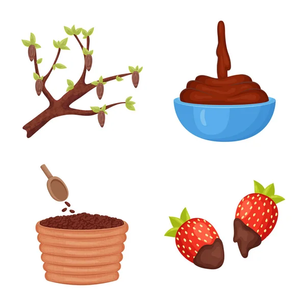 Diseño vectorial de cacao y frijoles símbolo. Colección de cacao y el icono del vector de dulzura para stock . — Vector de stock