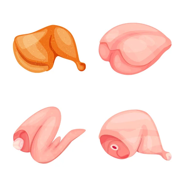 Vektorillustration von Fleisch und rohem Zeichen. Sammlung von Fleisch und gegrilltem Vektorsymbol für Vorräte. — Stockvektor