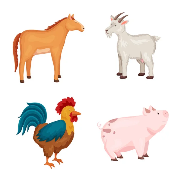 Vector ontwerp van boerderij en voedsel symbool. Set van boerderij en platteland voorraad symbool voor web. — Stockvector