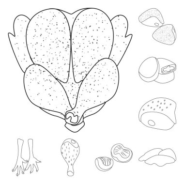 Gıda vektör tasarımı ve ızgara sembolü. Web için gıda ve kuş stok sembolü toplama.