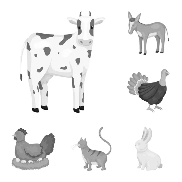 Vector illustratie van Homestead en landbouw symbool. Set van Homestead en keuken vector pictogram voor voorraad. — Stockvector