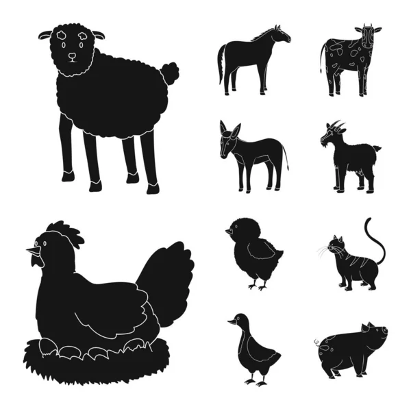 Geïsoleerd object van Ranch en biologisch logo. Collectie van Ranch en Food Stock symbool voor web. — Stockvector