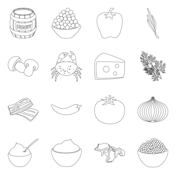 Diseño vectorial de la estacionina y el icono del ingrediente. Colección de ilustración vectorial de estacionina y aroma . — Vector de stock