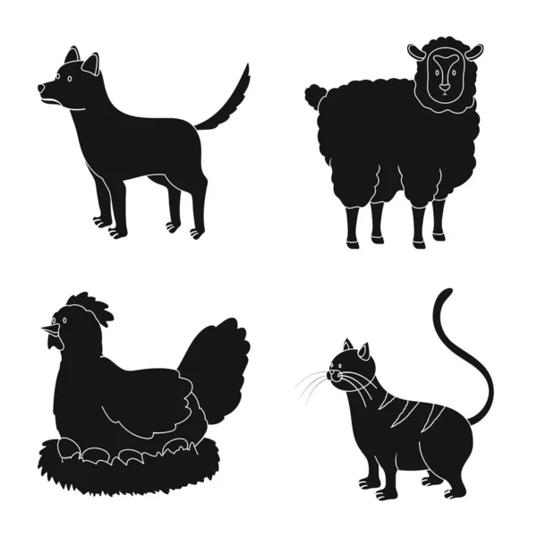 Vektoros tervezése Ranch és a szerves ikon. A tanya-és élelmiszer-állomány vektor illusztráció. — Stock Vector