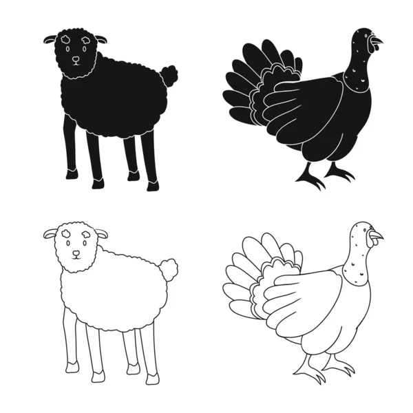 Vector ontwerp van fok- en keuken-logo. Collectie van het fokken en biologische vector pictogram voor voorraad. — Stockvector