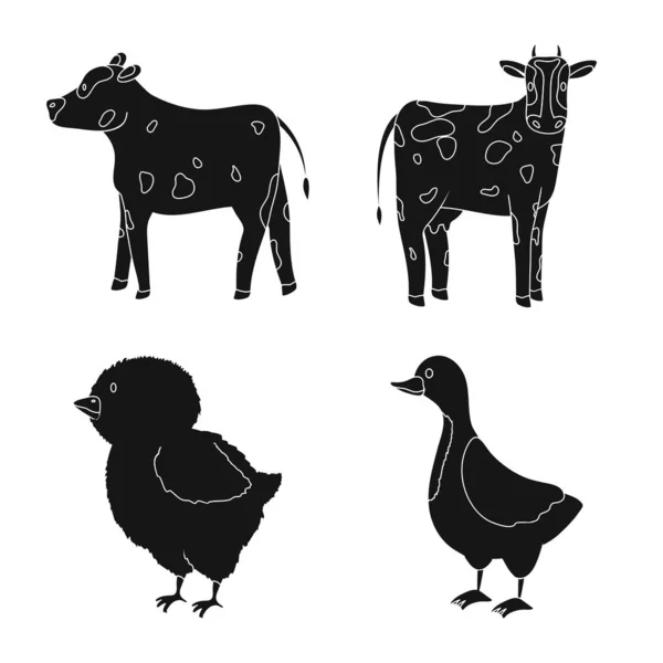 Vector ontwerp van Ranch en biologisch logo. Set van Ranch en Food Stock vector illustratie. — Stockvector