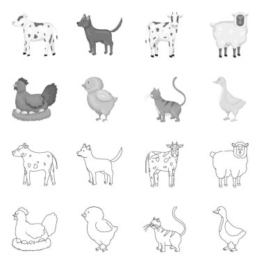 Üreme ve mutfak simge vektör Illustration. Koleksiyon ıslahının ve organik hisse senedi vektör çizim.