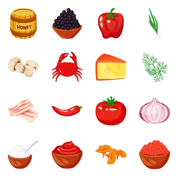 Vektorterv az élelmiszer és az ízek jele. Készlet élelmiszer-és összetevő-készlet szimbóluma web. — Stock Vector