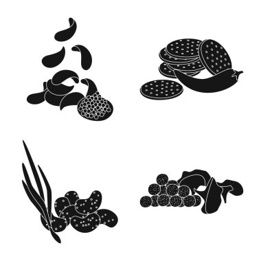 Malzeme ve organik sembolün vektör çizimi. Malzeme ve ürün vektör illüstrasyonunun kümesi.