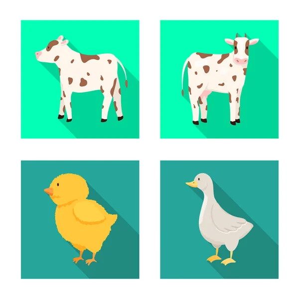 Illustration vectorielle de l "élevage et icône de cuisine. Collection d'icônes vectorielles biologiques et reproductrices pour le stock . — Image vectorielle