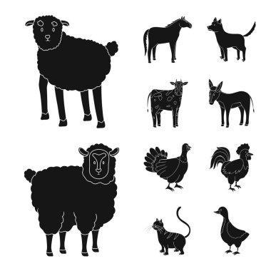 Çiftlik vektör tasarımı ve organik logo. Stok için çiftlik ve gıda vektör simgesi koleksiyonu.