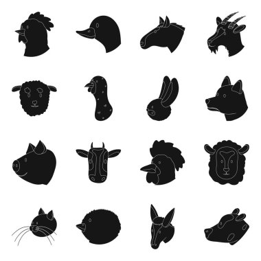 Çiftliğin izole nesnesi ve organik logo. Çiftlik ve baş stok vektör illüstrasyon koleksiyonu.