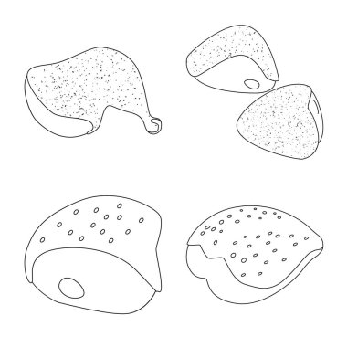 Gıda ve ızgara logo izole nesne. Gıda ve kuş stok vektör illüstrasyon seti.