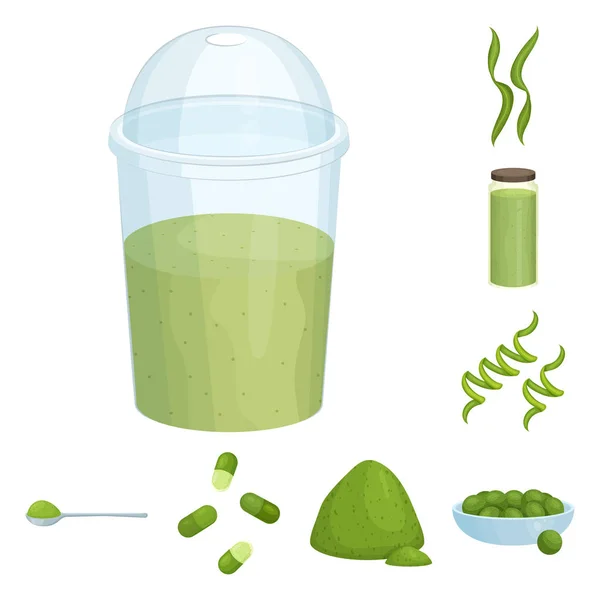 Ilustración vectorial de espirulina y símbolo de algas marinas. Conjunto de espirulina y símbolo de stock vegano para web . — Vector de stock