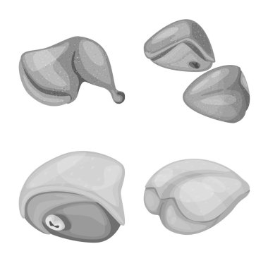 Mutfak vektör tasarımı ve kuş işareti. Stok için mutfak ve kümes vektör simgesi seti.