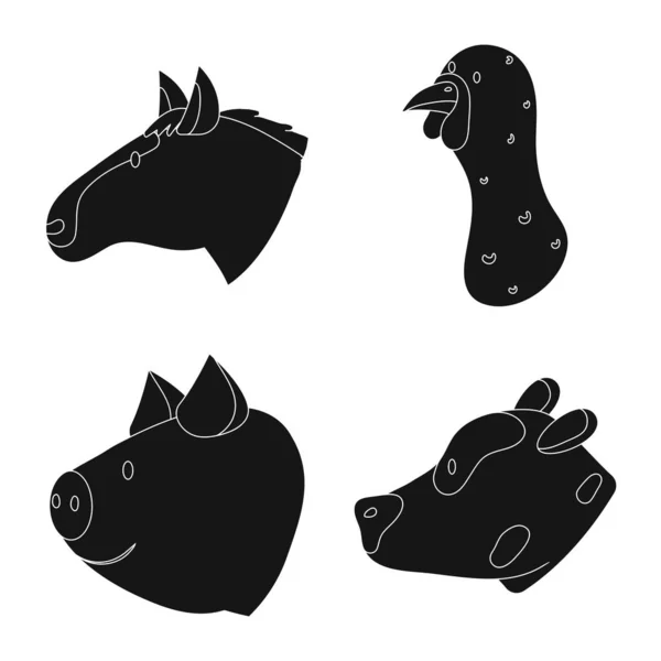 Illustration vectorielle du ranch et symbole biologique. Collecte de l'illustration vectorielle ranch et tête de bétail . — Image vectorielle