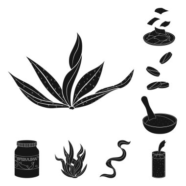 Çim ve doğal sembolün vektör tasarımı. Hisse senedi için çim ve deniz yosunu vektör simgesi koleksiyonu.