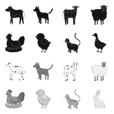 Üreme ve mutfak simgesi yalıtılmış nesne. Koleksiyon ıslahının ve organik hisse senedi vektör çizim.