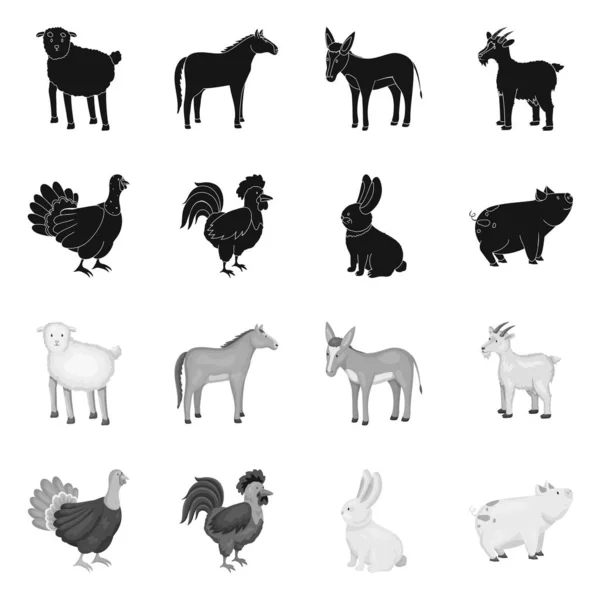 Conception vectorielle de l'élevage et signe de cuisine. Ensemble d'illustration vectorielle de l'élevage et du bétail biologique . — Image vectorielle