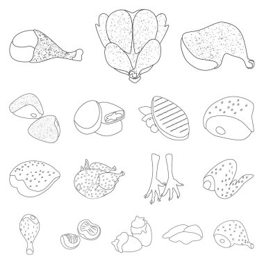 Gıda vektör tasarımı ve ızgara sembolü. Stok için yiyecek ve kuş vektör simgesi koleksiyonu.