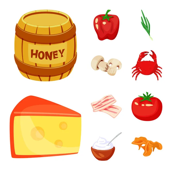 Vektor Illustration von Lebensmitteln und Aromen Zeichen. Sammlung von Lebensmitteln und Zutaten Lagersymbol für Web. — Stockvektor