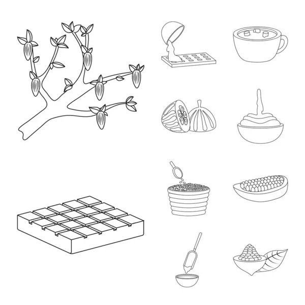 Векторный дизайн какао и бобов знак. Набор векторных значков какао и сладости на складе . — стоковый вектор