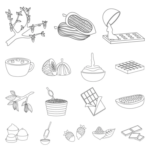 可可和豆类标志的孤立对象。可可和甜度库存载体插图的收集. — 图库矢量图片