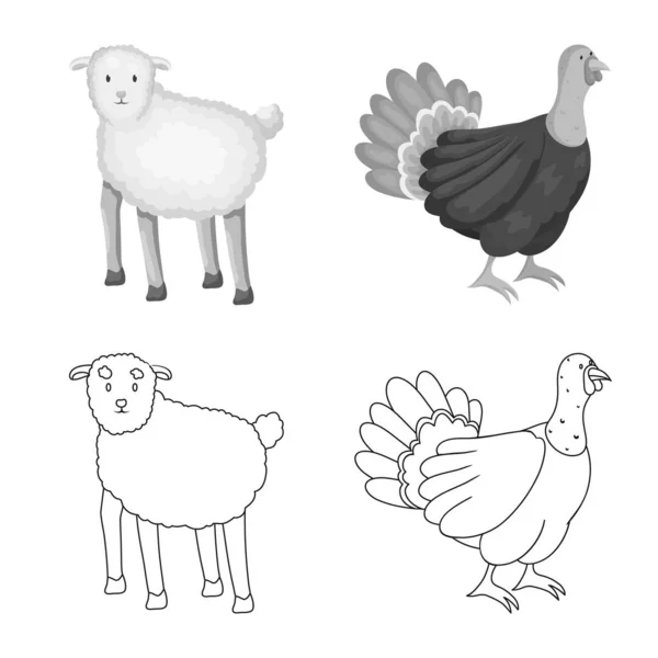 Vectorillustratie van fok- en keuken-logo. Collectie van het fokken en biologische vector pictogram voor voorraad. — Stockvector