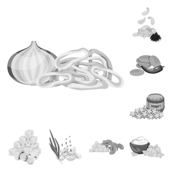 Isoliertes Geschmacksobjekt und Kochsymbol. Geschmacks- und Jahreszeitenvektorillustration. — Stockvektor