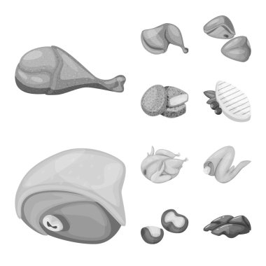 Mutfak ve kuş logosu Vektör illüstrasyon. Web için mutfak ve kümes hayvanları stok sembolü koleksiyonu.