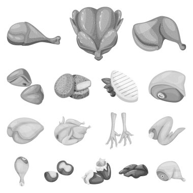 Mutfak ve kuş işaretinin vektör çizimi. Stok için mutfak ve kümes hayvanları vektör simgesi.