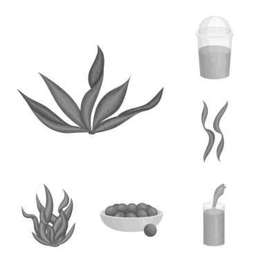 Bitki ve bitki sembolü vektör tasarımı. Web için bitki ve deniz stok sembolü seti.