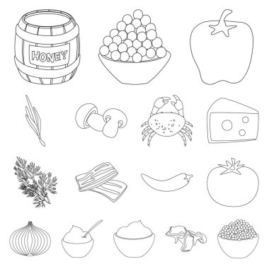 Sezonin ve malzeme logosunun vektör tasarımı. Mevsim ve aroma stok vektörü çizimi.