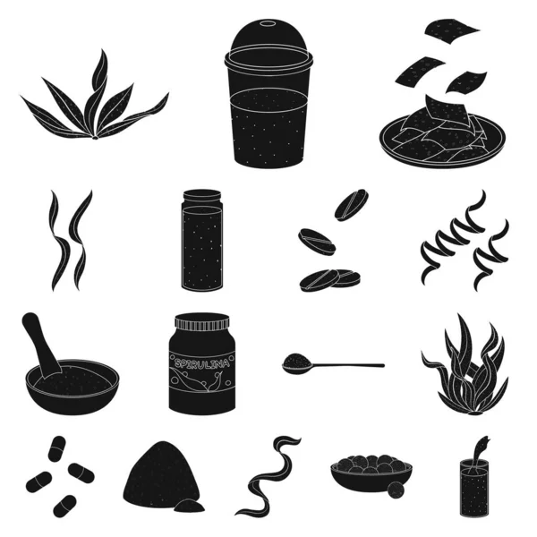 Vector design of grass and natural icon. Set of grass and seaweed vector icon for stock. — Stock Vector