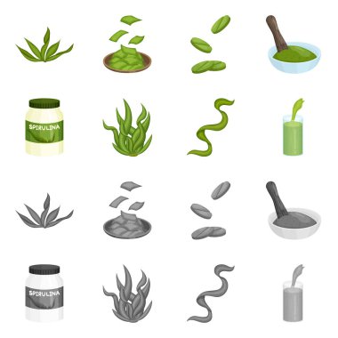 Protein ve deniz simge vektör tasarımı. Protein ve hisse senedi için doğal vektör ikon koleksiyonu.