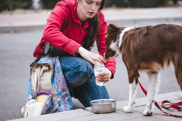 Kız senin köpek su için su bir şişe açar.