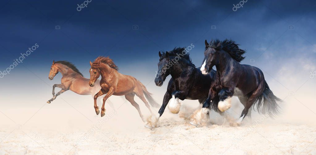 A herd of black and red horses galloping in the sand against the background of a stormy sky