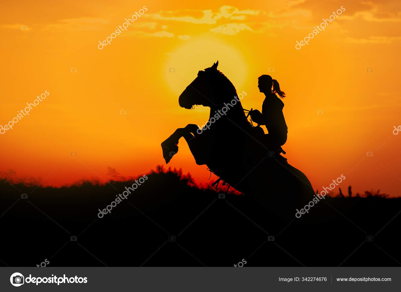 馬に乗っている少女は夜明けを背景にトリックを実行します 馬は後ろ足に立っている 現場の人間と馬のシルエット — ストック写真 © yurkovska  #342274676, image size:1600x1165