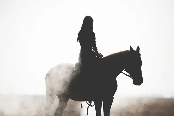Silhouette of a beautiful girl riding a horse on a white background. Man and horse in thick smoke or fog.Brave girl leads an active lifestyle