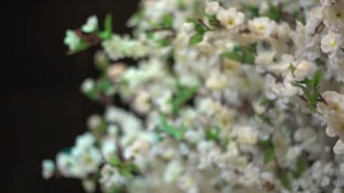 Gelin brunch seçenekleri