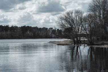 Güzel manzara orman suyu ve gökyüzü