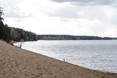 Ormandaki kumlu sahil ufuk çizgisi