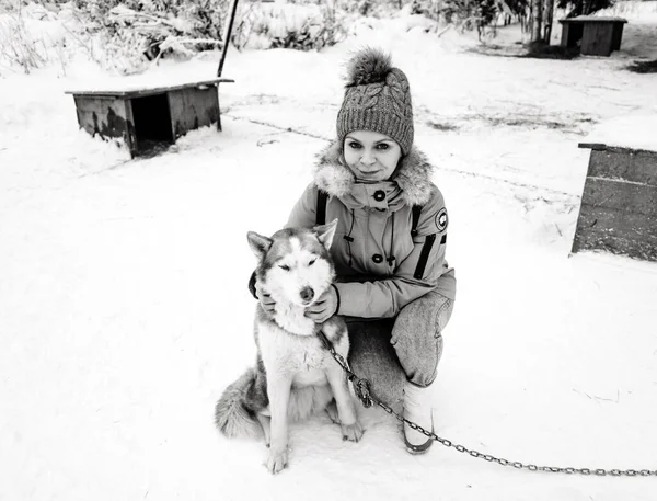 Szürke Sapkás Lány Kék Dzsekiben Egy Husky Kutyával Télen Husky — Stock Fotó