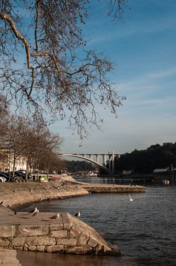 Nehir ve şehir üzerindeki köprü