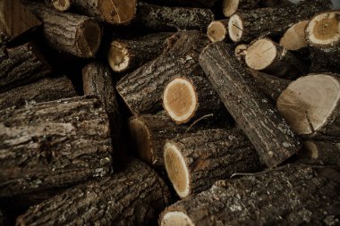 Odunlar ahırda, evi ısıtmak ve ızgarada lezzetli yemekler hazırlamak için kullanılıyor..