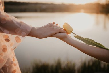 Anneler ve kızlar el ele tutuşuyor, Kızların elinde güzel sarı bir lale, nehir arka planı, gün batımı, güzel