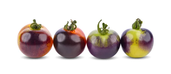 色彩斑斓的西红柿 背景为白色 — 图库照片