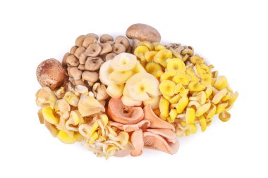 Karışık mantarlar beyaz arkaplanda izole edilmiş. Üst görünüm